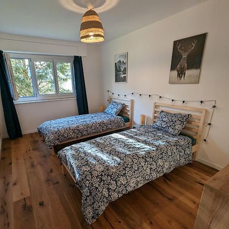 Appartement Spacieux Au Centre De La Gruyere Broc Εξωτερικό φωτογραφία