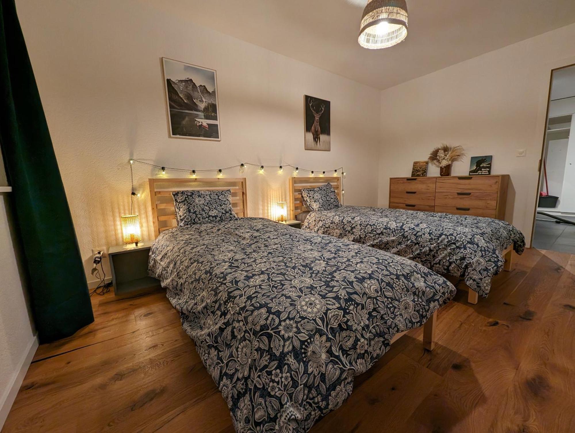 Appartement Spacieux Au Centre De La Gruyere Broc Εξωτερικό φωτογραφία